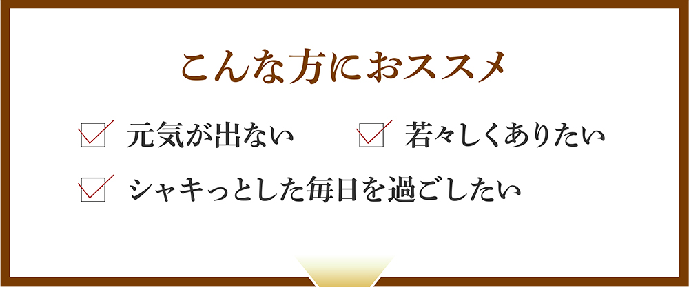 こんな方にオススメ：元気が出ない・若々しくありたい・シャキッとした毎日を過ごしたい