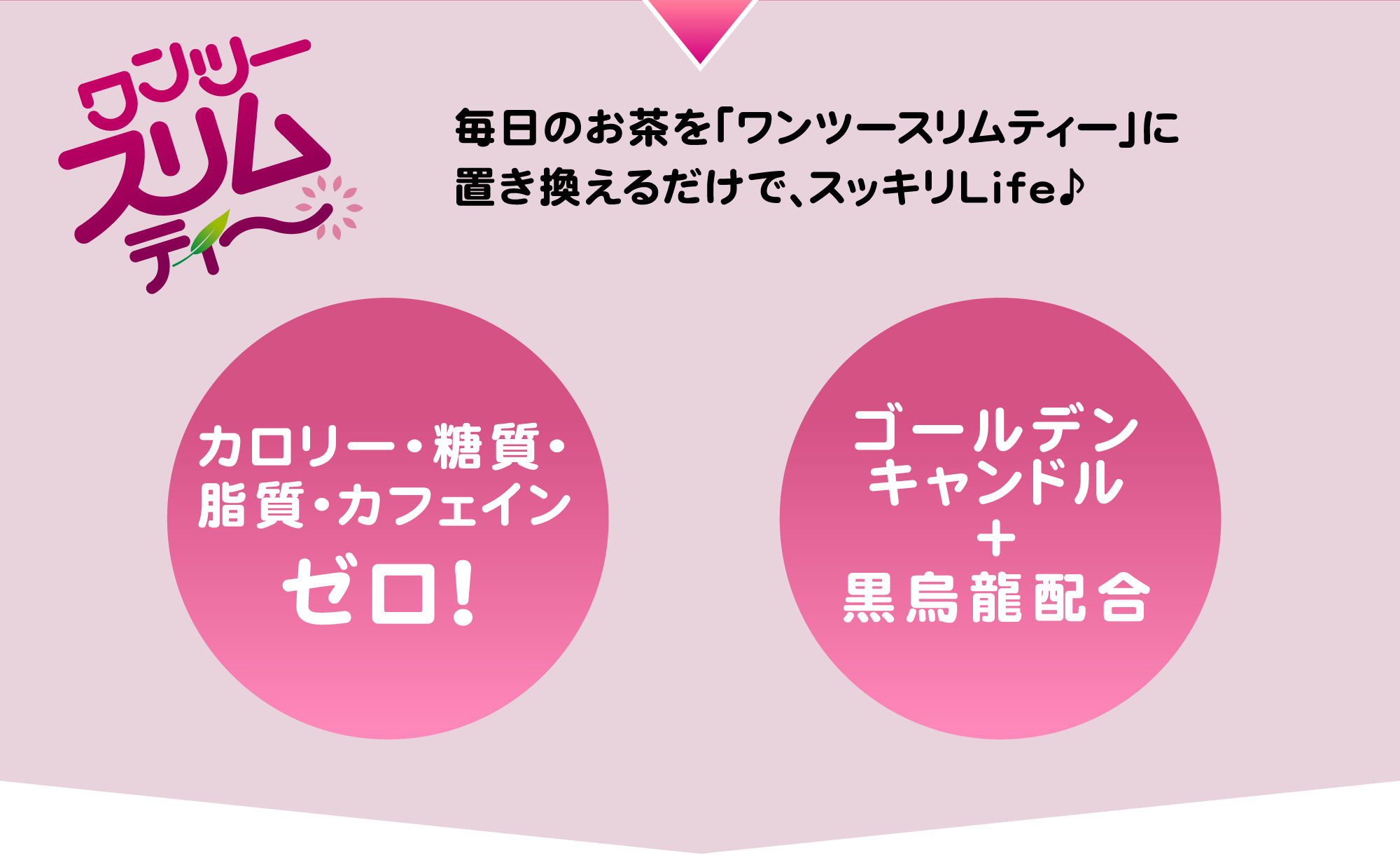 ノンカロリー・ノンカフェインで余分な脂肪と便秘に働きかける！