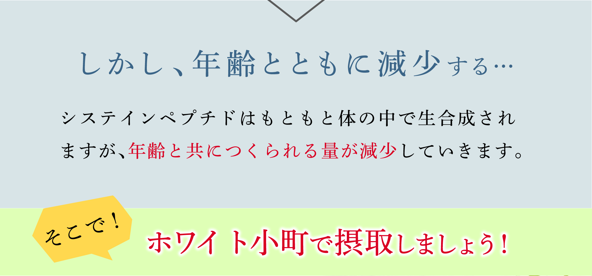 システインペプチドは年齢とともに減少するので、ホワイト小町で摂取しましょう